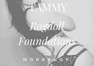 Ragdoll Foundations