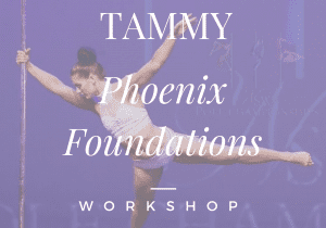 Phoenix Foundations