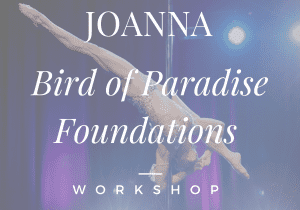 Bird of Paradise Foundations