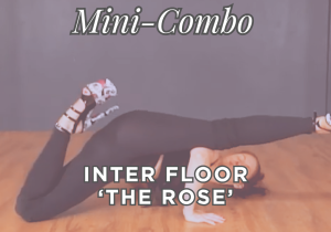Mini-Combo 'The Rose'